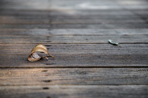 Foto gratuita hermoso fondo de madera con la hoja