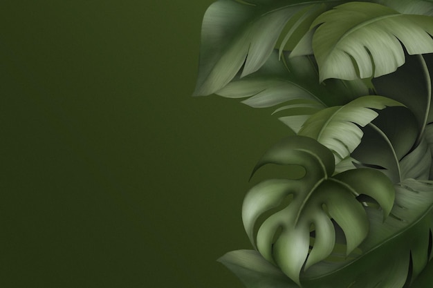 Hermoso fondo de plantas tropicales con copyspace