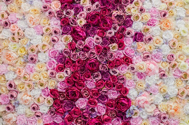 Hermoso fondo rosas para el día de san valentín.