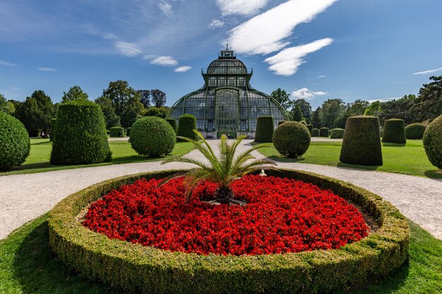 Hermoso jardín botánico del Palacio de Schonbrunn en Viena, Austria.