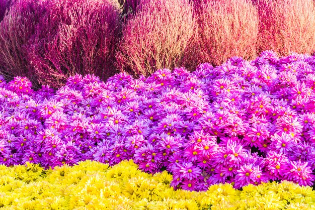 Hermoso jardín y flor.