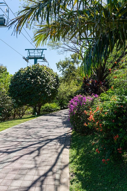 Foto gratuita hermoso jardín florido en un día soleado