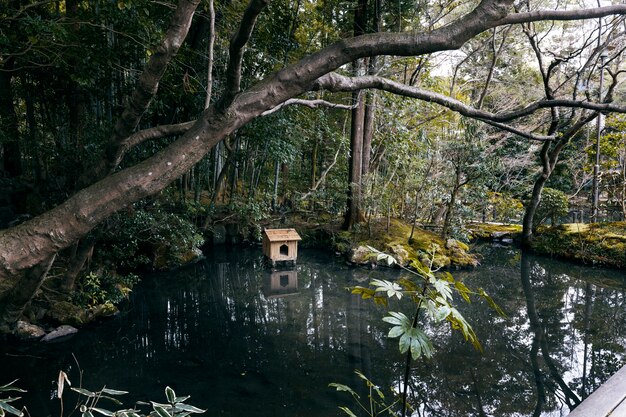 hermoso jardin japones