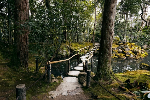 hermoso jardin japones