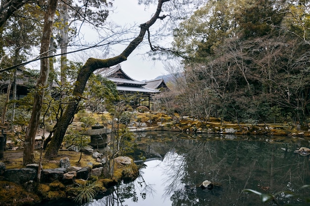 hermoso jardin japones