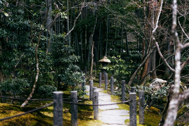 hermoso jardin japones