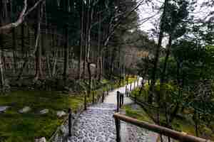 Foto gratuita hermoso jardin japones