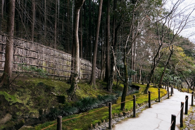 Foto gratuita hermoso jardin japones