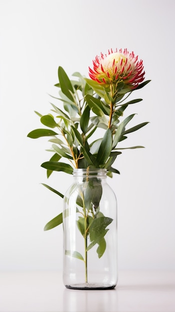 Un hermoso jarrón de flores en el estudio.