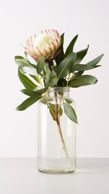 Un hermoso jarrón de flores en el estudio.