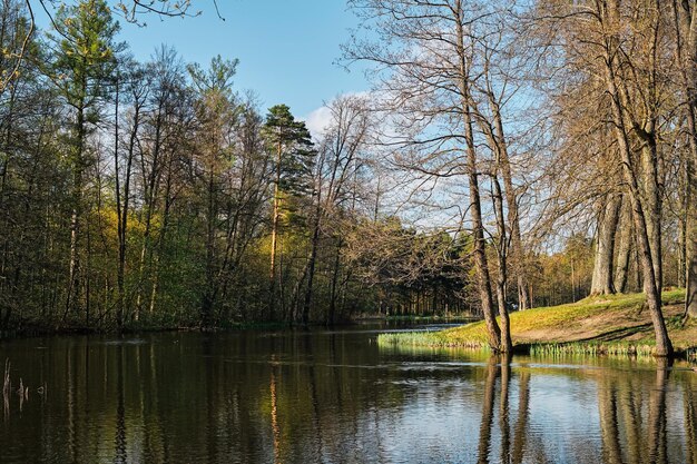 Hermoso lago de primavera en un parque forestal público Primavera temprano en la tarde día soleado cielo azul con nubes Naturaleza del norte comienzo de la primavera Idea de banner