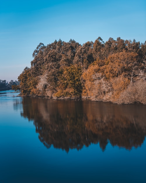 Hermoso lago con el reflejo de un acantilado con muchos árboles en la costa