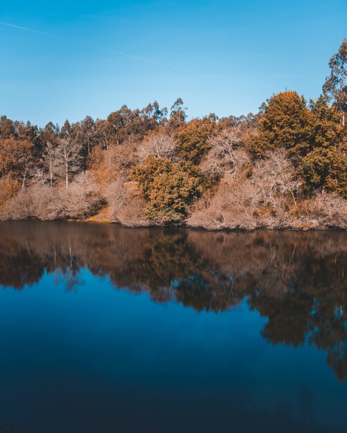 Hermoso lago con el reflejo de un acantilado con muchos árboles en la costa