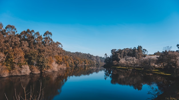 Hermoso lago con el reflejo de un acantilado con muchos árboles en la costa