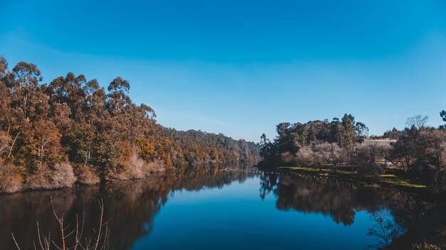 Hermoso lago con el reflejo de un acantilado con muchos árboles en la costa