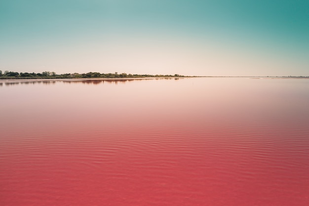 Hermoso lago rosado tranquilo bajo el cielo azul capturado en Camarque, Francia