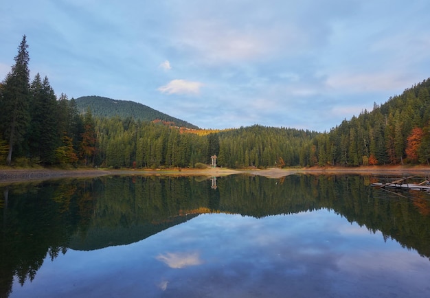 Hermoso lago Synevyr rodeado de bosque