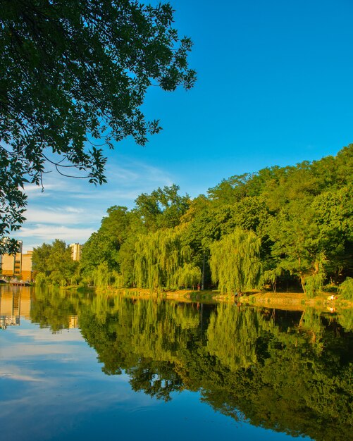 Hermoso lago en verano con reflejo de árboles en la superficie del agua. El hermoso parque de la ciudad de Kiev