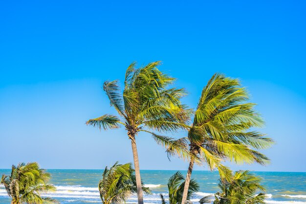 Hermoso mar de playa tropical con palmeras en el cielo azul