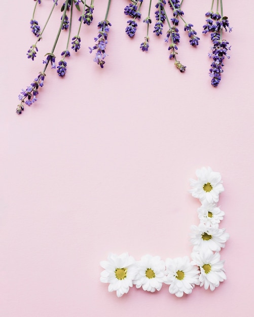Hermoso marco hecho con flores frescas sobre fondo rosa