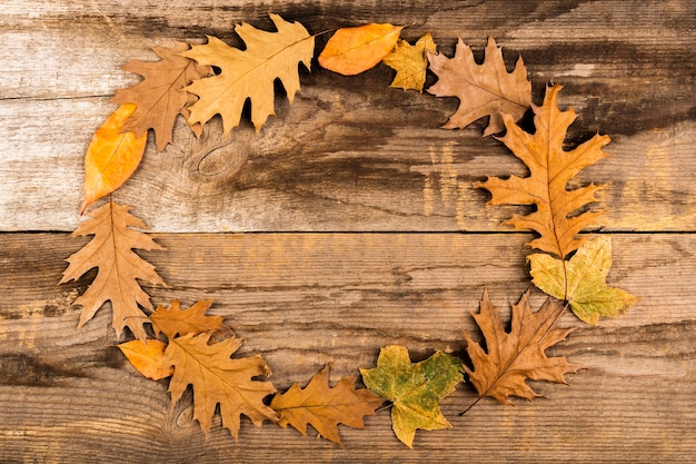 Hermoso marco de hojas de otoño