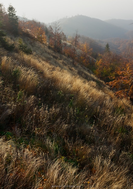 Hermoso otoño en la montaña medvednica en zagreb, croacia