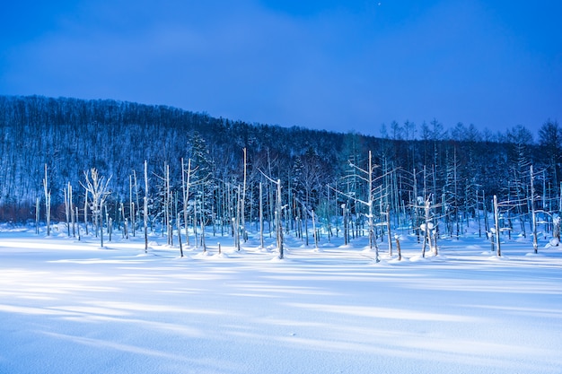 El hermoso paisaje al aire libre con el río azul de la charca en la noche con la luz para arriba en la estación del invierno de la nieve