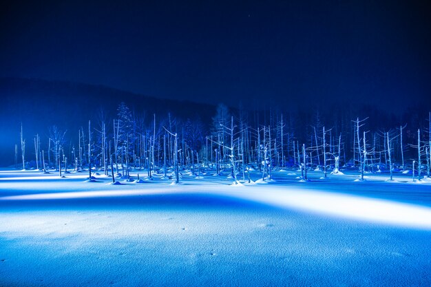 El hermoso paisaje al aire libre con el río azul de la charca en la noche con la luz para arriba en la estación del invierno de la nieve