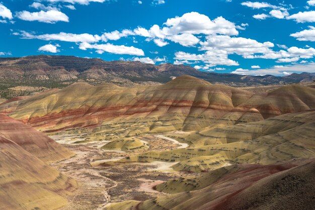 Hermoso paisaje de altos acantilados rocosos con muchos arbustos bajo un cielo nublado