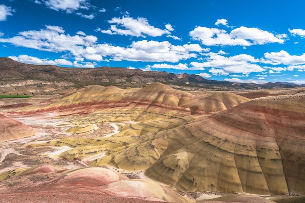 Hermoso paisaje de altos acantilados rocosos con muchos arbustos bajo un cielo nublado