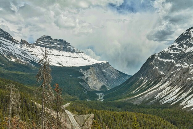 Hermoso paisaje de ángulo bajo de las nevadas montañas rocosas canadienses