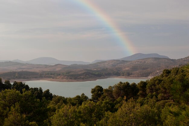 Hermoso paisaje con arco iris y árboles.