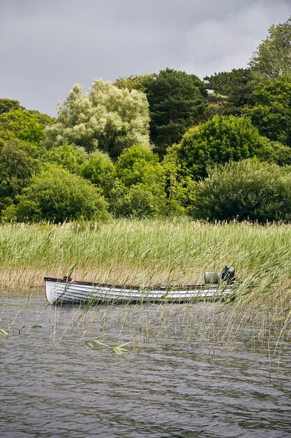 Hermoso paisaje de barco estacionado en el Parque Nacional de Killarney