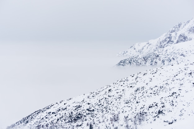 Hermoso paisaje de blancas montañas nevadas y colinas