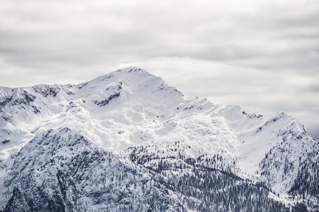 Hermoso paisaje de blancas montañas nevadas y colinas