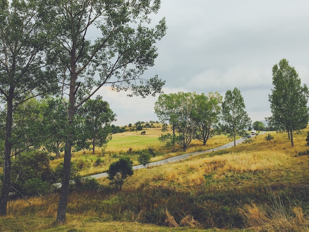 Hermoso paisaje de un bosque en el campo