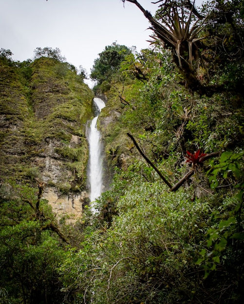 Hermoso paisaje de un bosque con increíbles cascadas brillantes