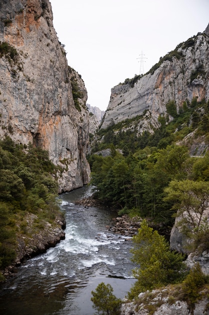 Hermoso paisaje de bosque de montaña