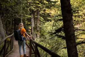 Foto gratuita hermoso paisaje de bosque de montaña