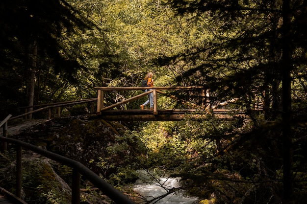 Hermoso paisaje de bosque de montaña