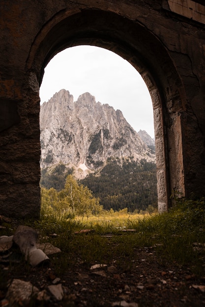 Hermoso paisaje de bosque de montaña