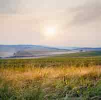 Foto gratuita hermoso paisaje del brumoso amanecer sobre el paisaje en wiltshire, reino unido