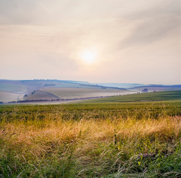 Hermoso paisaje del brumoso amanecer sobre el paisaje en Wiltshire, Reino Unido