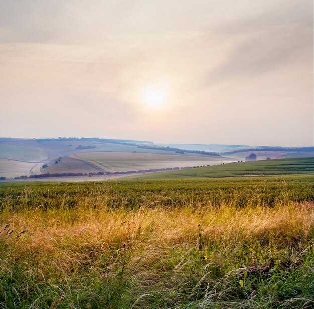 Hermoso paisaje del brumoso amanecer sobre el paisaje en Wiltshire, Reino Unido