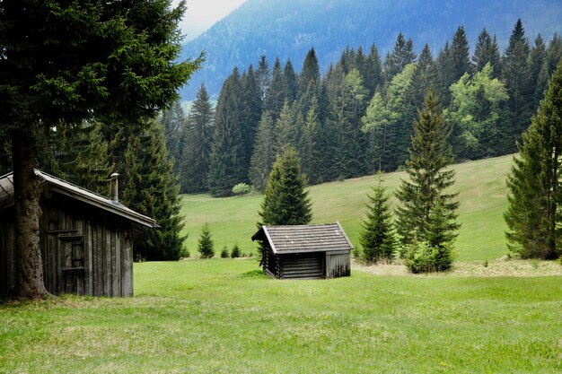 Hermoso paisaje con cabañas de madera y árboles verdes.