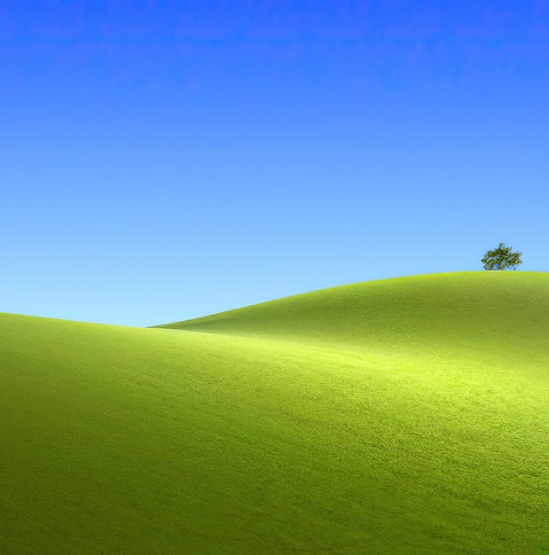 Hermoso paisaje con campo de hierba verde y ai generativo de árbol solitario