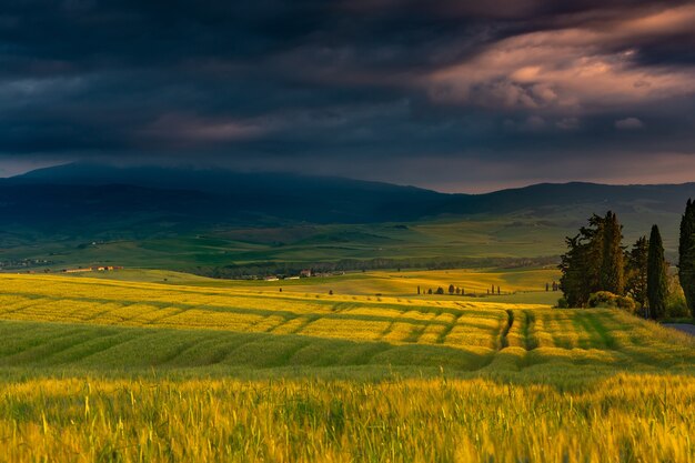 Hermoso paisaje de un campo rodeado de colinas en el campo