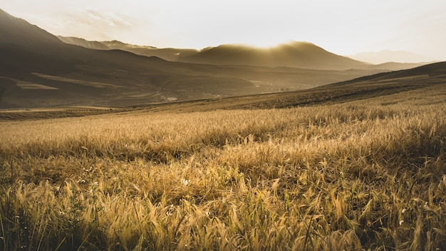 Hermoso paisaje con campos y montañas al atardecer escénico