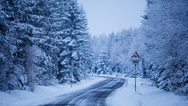 Hermoso paisaje de una carretera helada rodeada de abetos cubiertos de nieve.