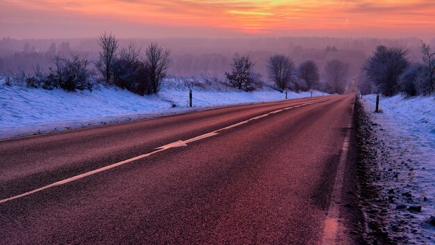 Hermoso paisaje de una carretera rodeada de árboles cubiertos de nieve al amanecer.